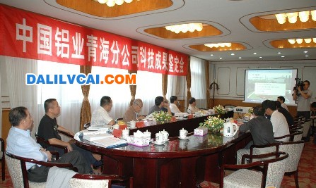中鋁青海分公司科技成果鑒定會(huì)