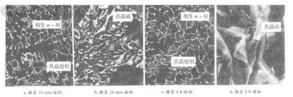 Al-5Ti-1B-10RE細(xì)化處理后分別靜置10 min和6 h合金的顯微組織