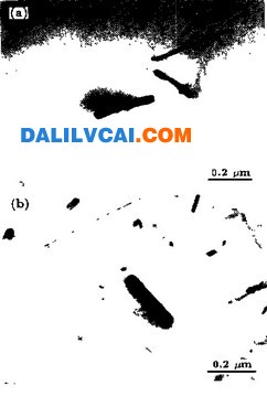時(shí)效6 h和8 h 后合金中析出相的TEM 照片