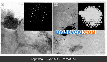 均勻化退火態(tài)的光學(xué)顯微組織 鋁合金均化處理對其顯微組織的影響