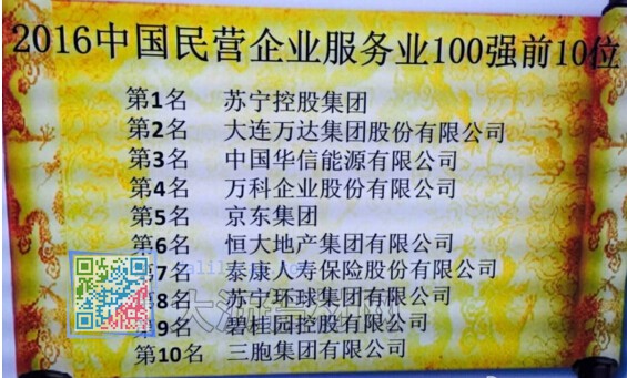 2016中國(guó)民營(yíng)企業(yè)服務(wù)業(yè)500強(qiáng)前10名完整名單