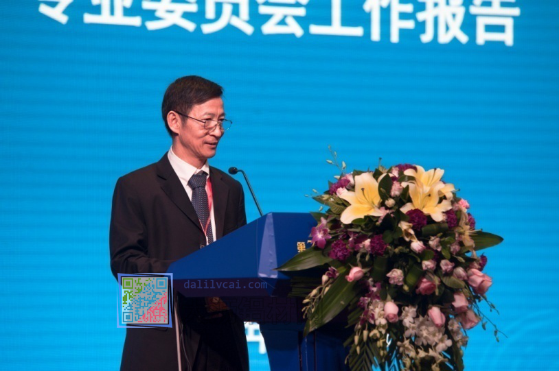 廣東省有色金屬學會鋁加工專業(yè)委員會主任委員盧繼延發(fā)言