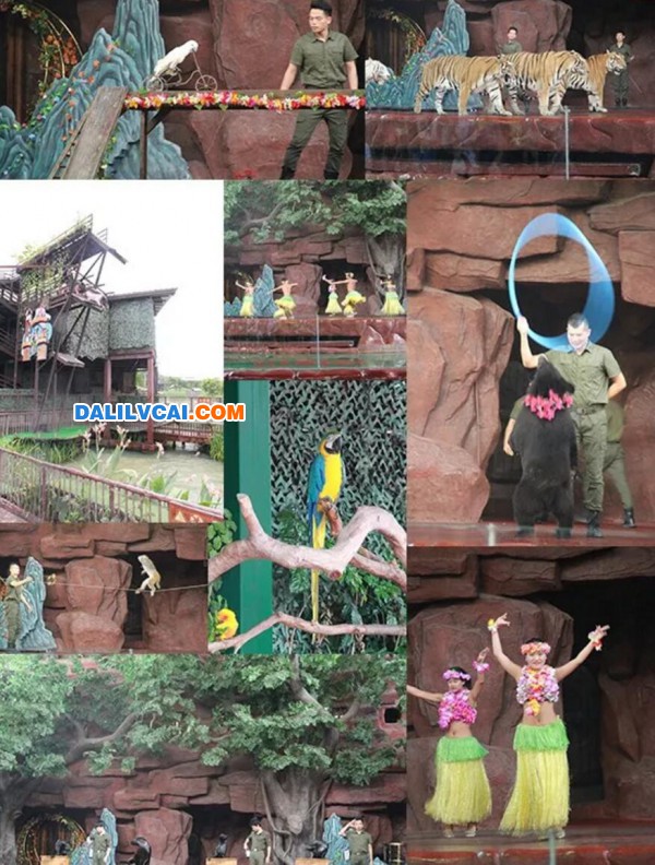 第三屆“高登寶寶”夏令營動物園