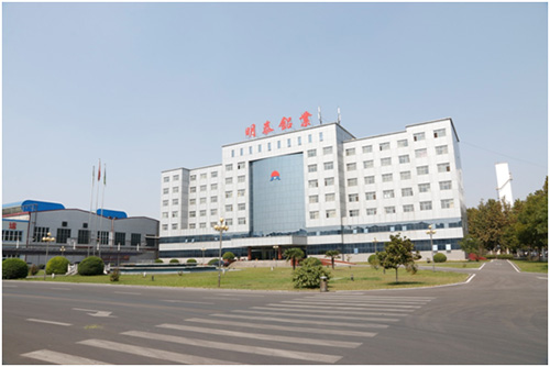 明泰鋁業(yè)榮登2016年河南省百強(qiáng)企業(yè)榜單