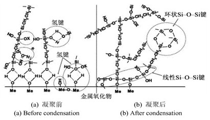 三維網(wǎng)狀結(jié)構的硅烷膜